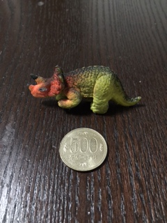 恐竜博物館で購入