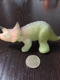 恐竜博物館で購入