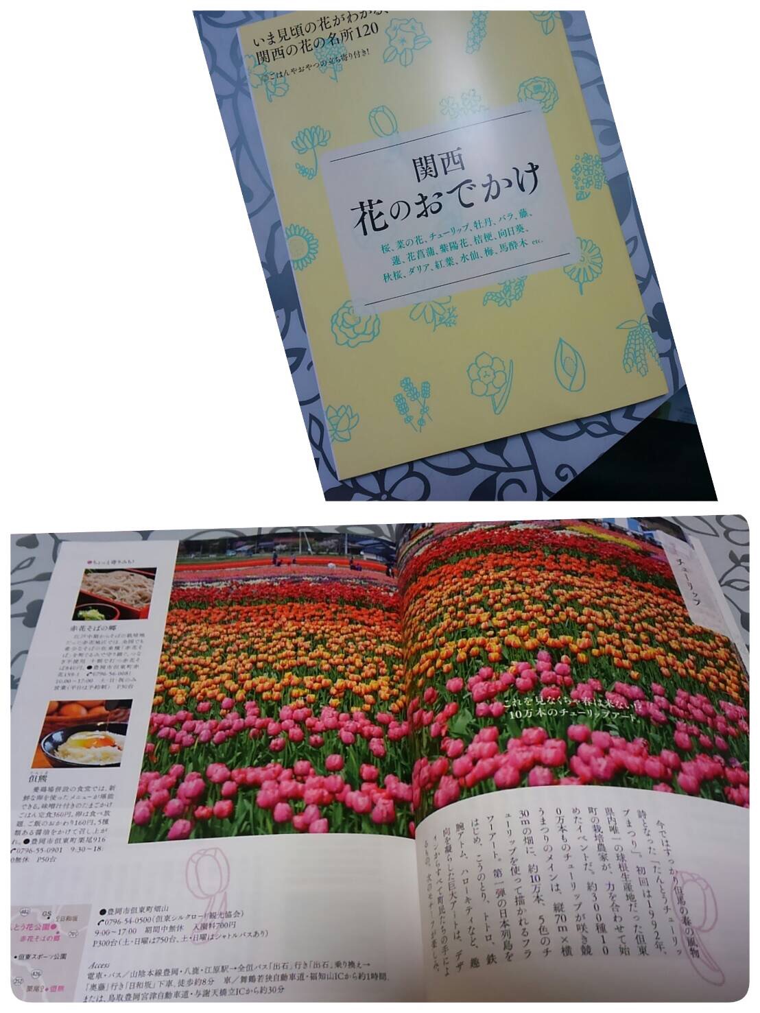 花のおでかけ。