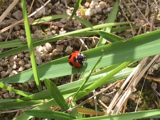 夏ですね・・・