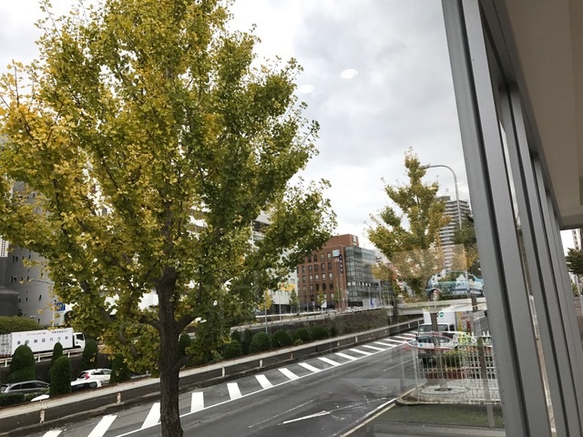 深まってまいりましたね・・・