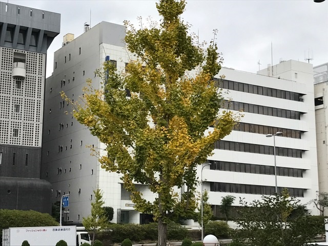 深まってまいりましたね・・・