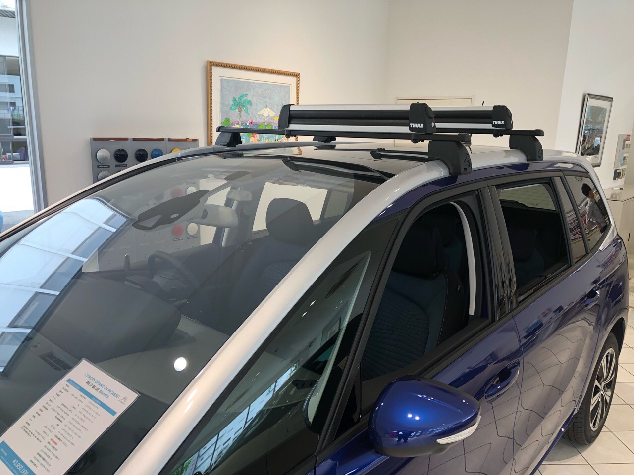 夏に向けて・・・