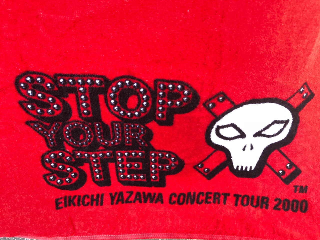 矢沢永吉さん 2000年 STOP YOUR STEPツアー 赤 バイクデザイン