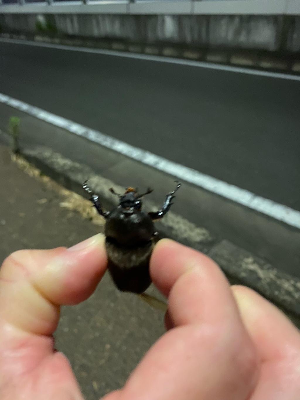 やっと会えました。