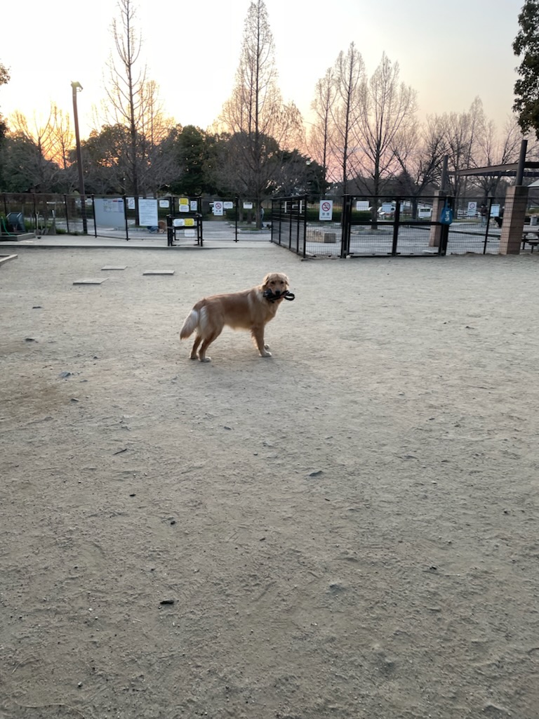 帰る時は。