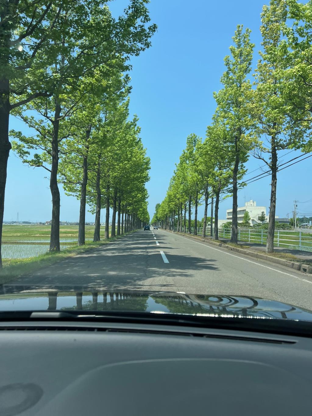 ちょっぴり遅くなりました