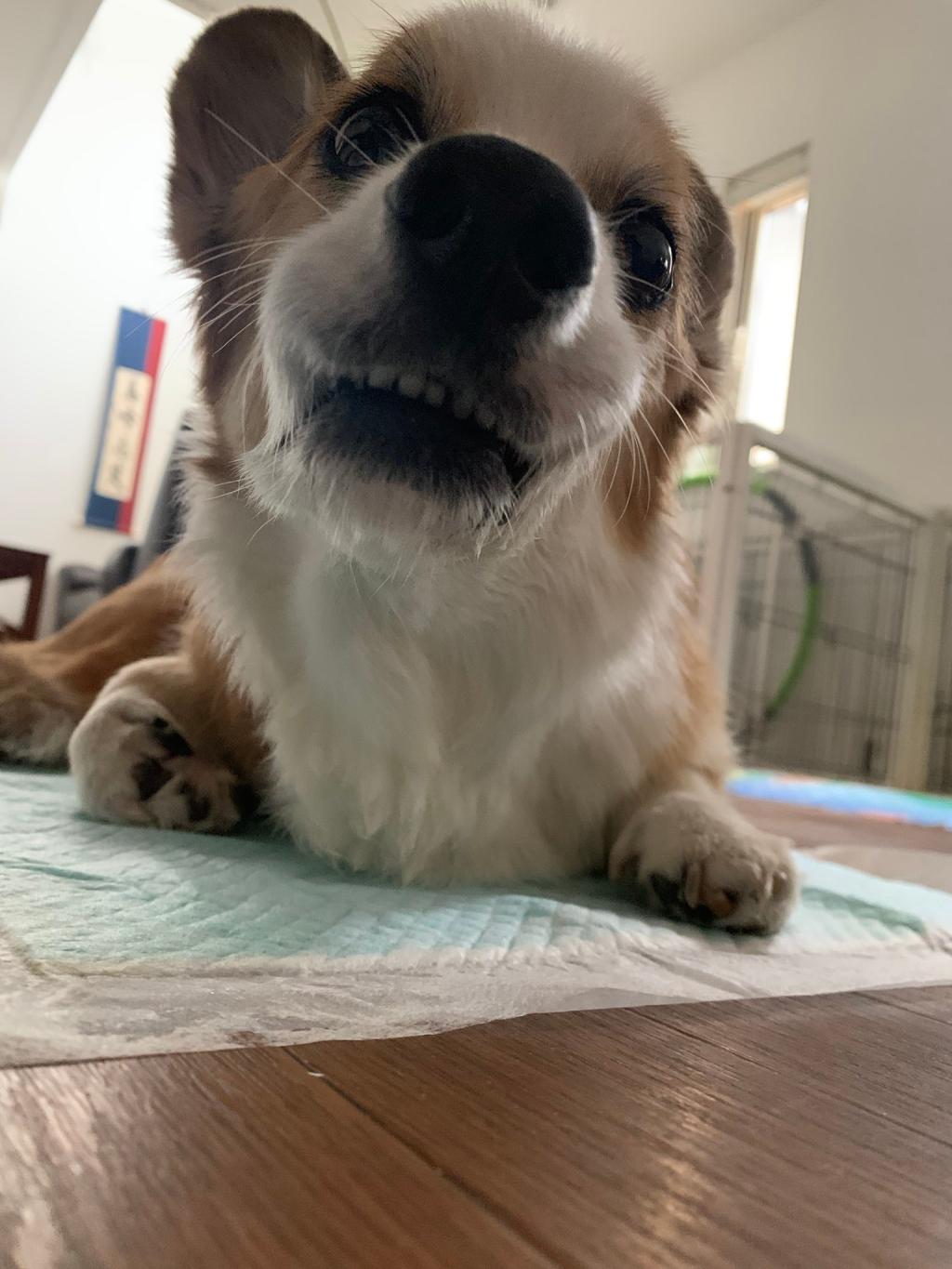 ホラー画像