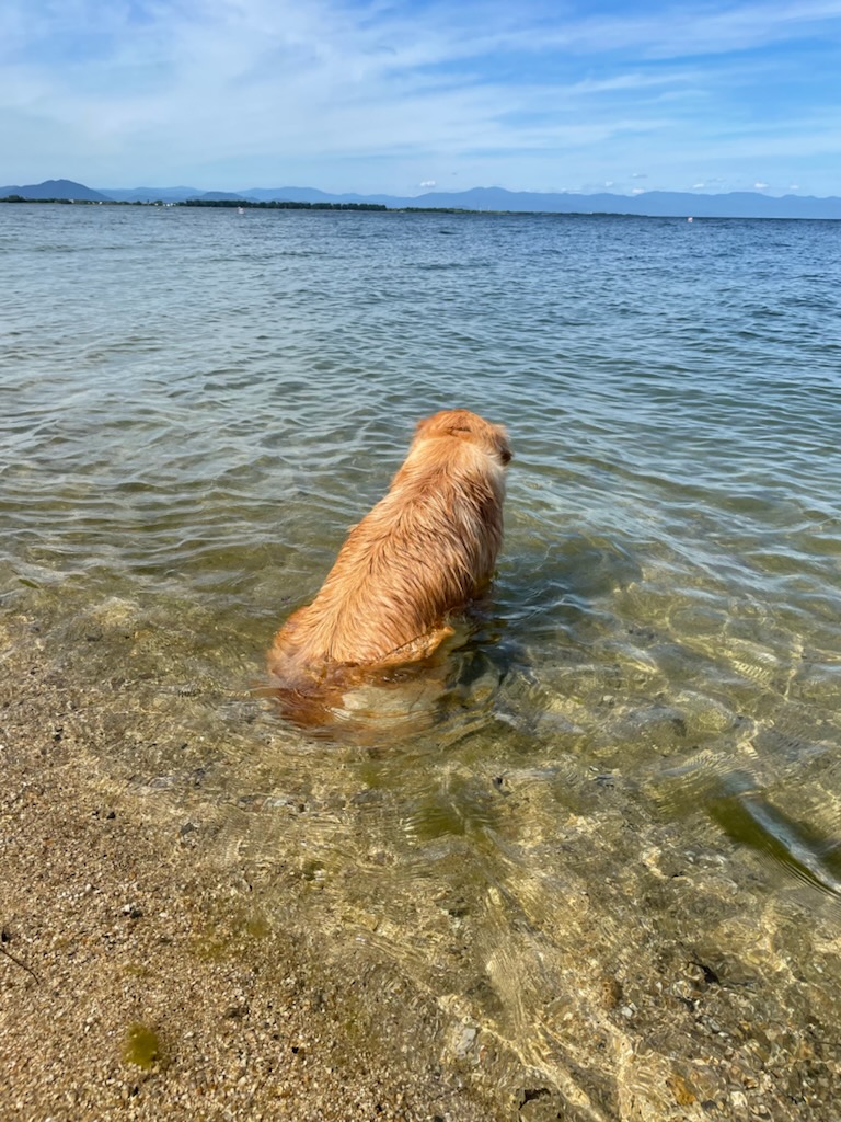温泉ですか？