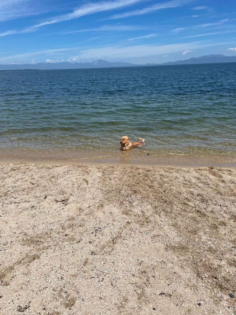 温泉ですか？