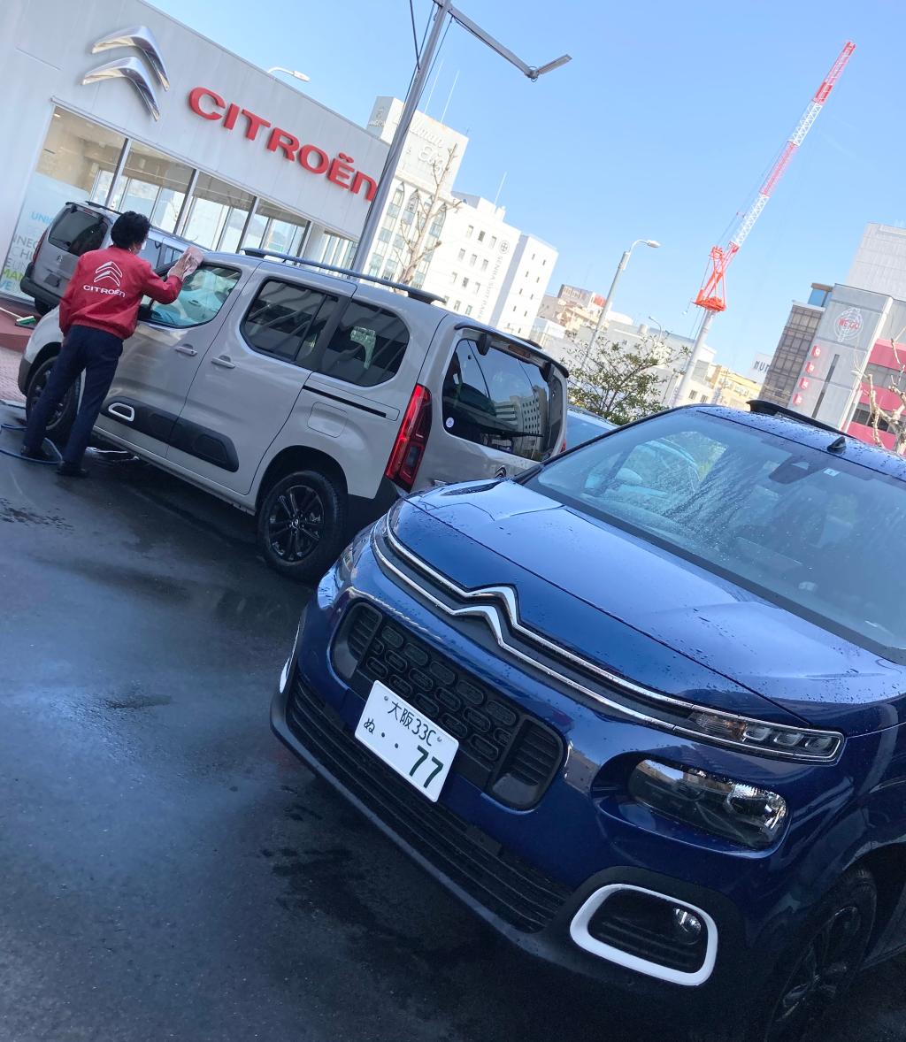 すこし肌寒いですが春が🌸