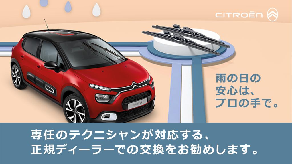 暑さにも負けない