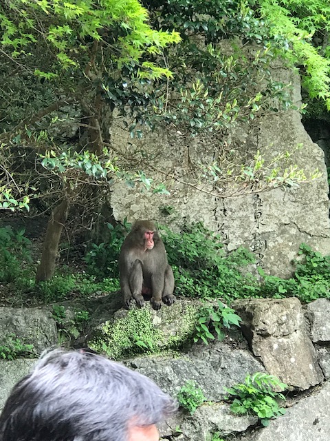 がんばります。