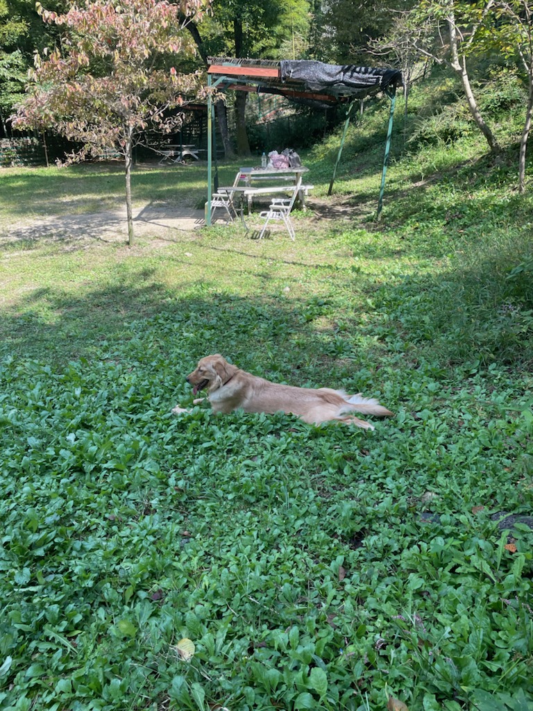 一休み、ひとやすみ。