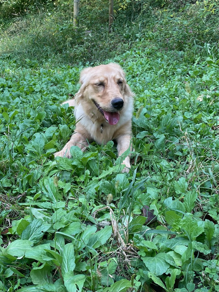 一休み、ひとやすみ。