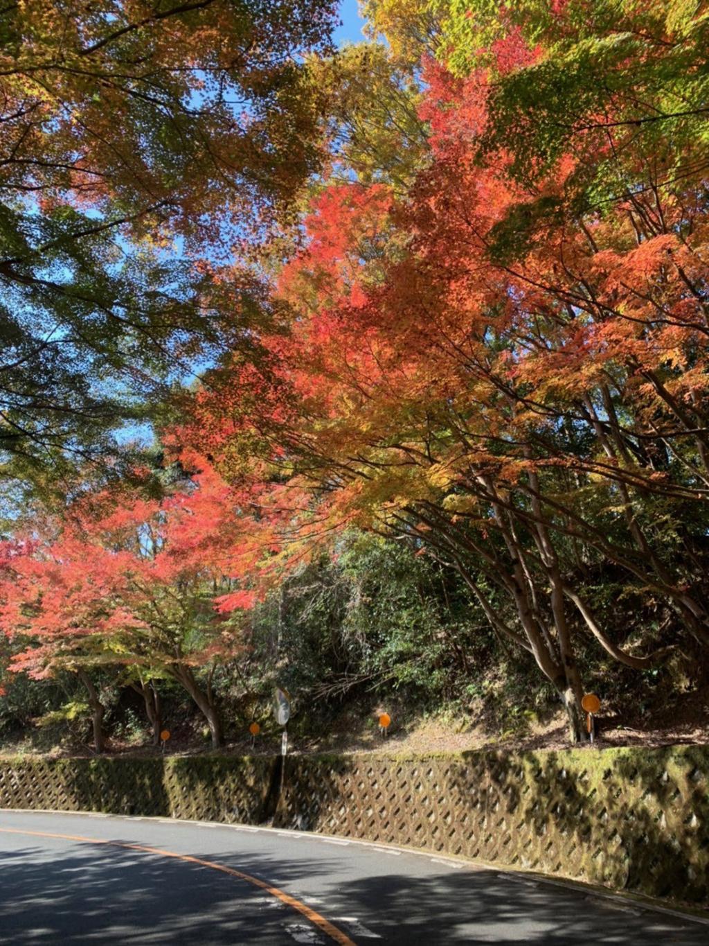 秋を見つけました。