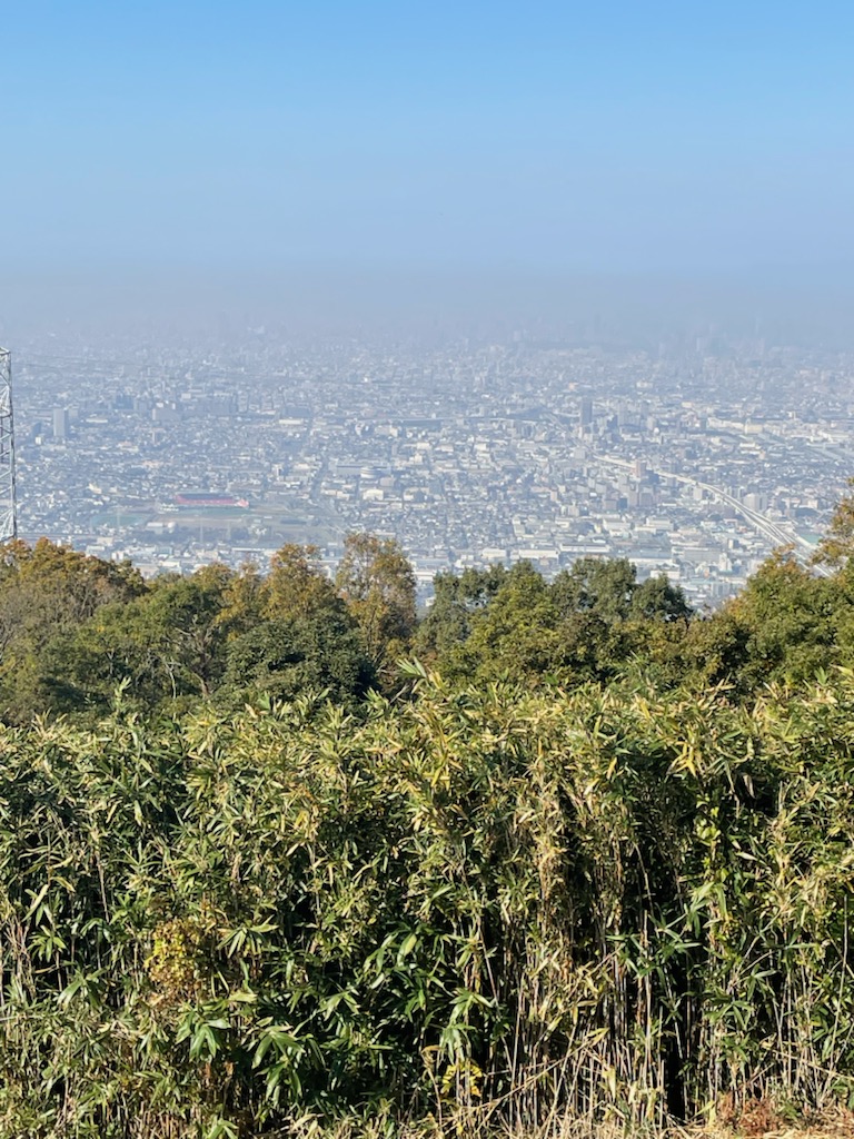 秋を見つけました。