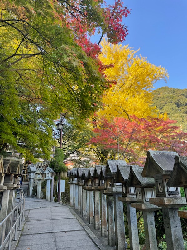 秋を見つけました。