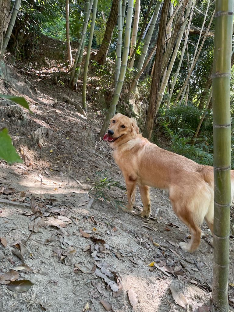 ちょっとだけ冒険。