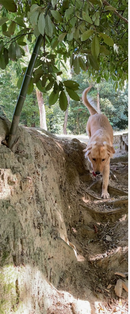 ちょっとだけ冒険。