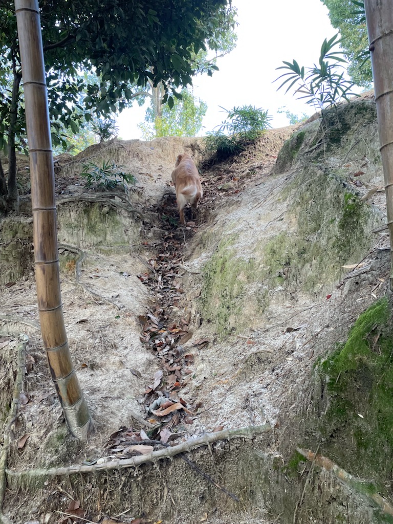 ちょっとだけ冒険。