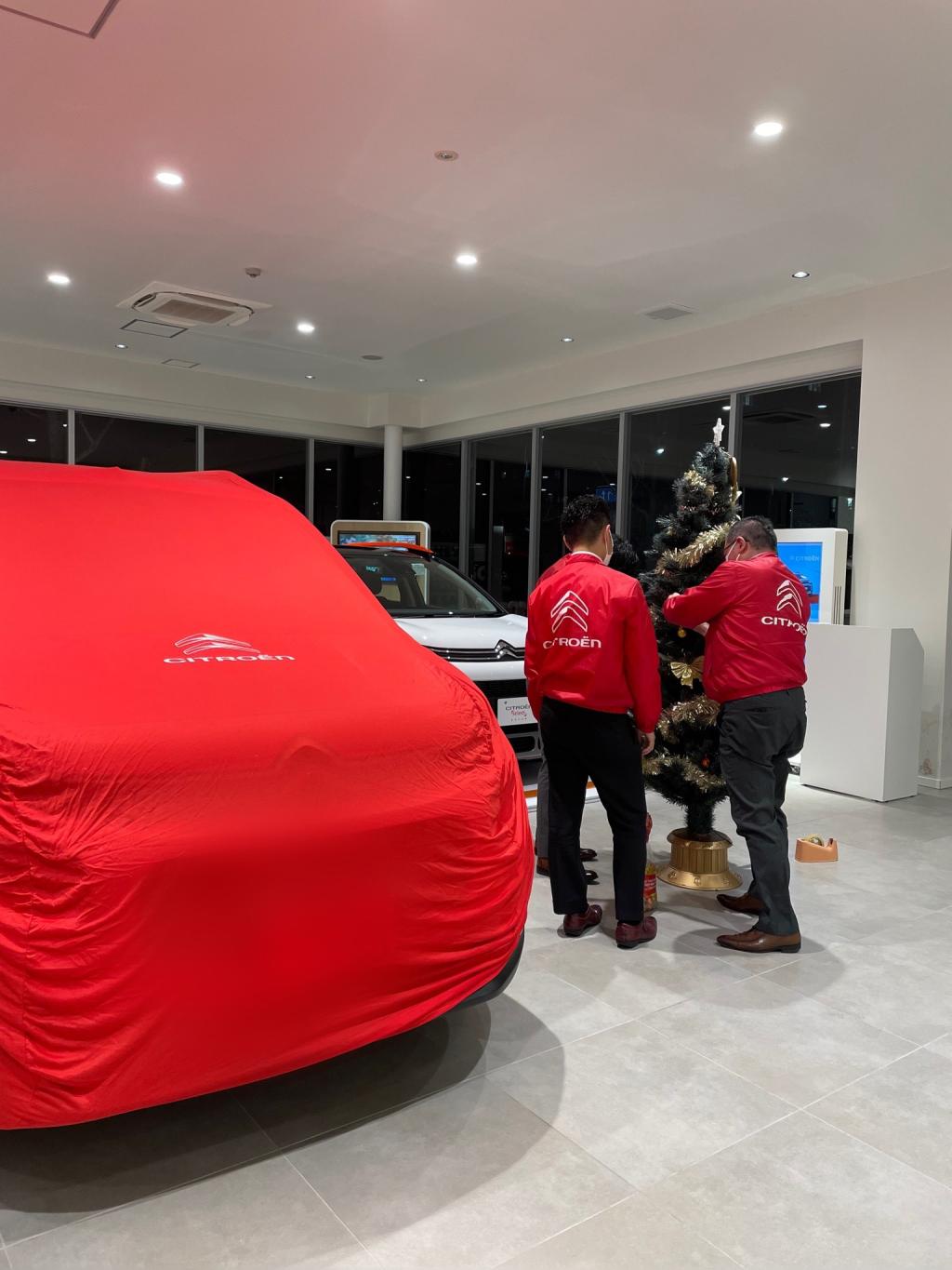 クリスマスツリー・飾り付け。