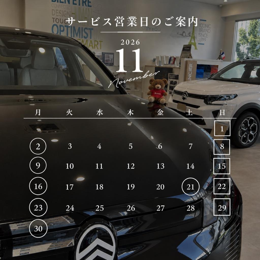 11月のサービスの営業日のご案内